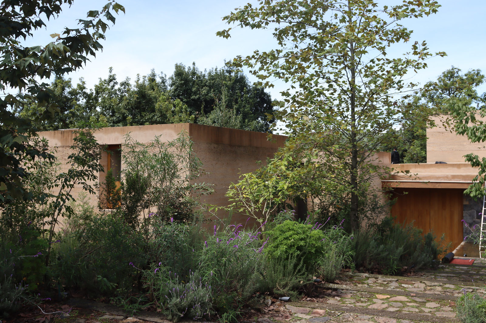 Casa Catarina: Wood doors