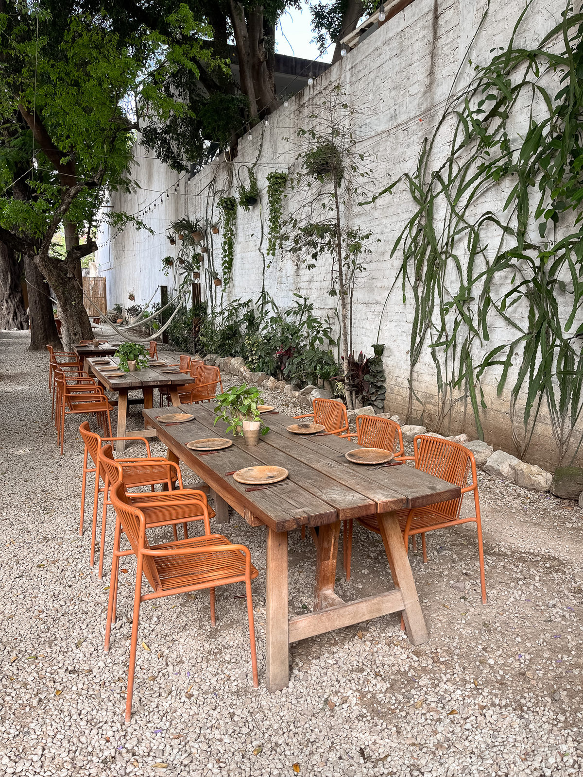 Restaurante Criollo: Solid-wood table